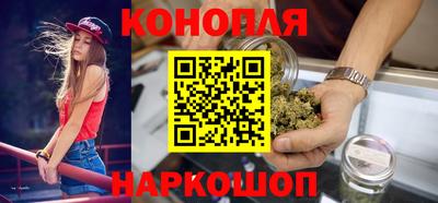 индика Рыбинск