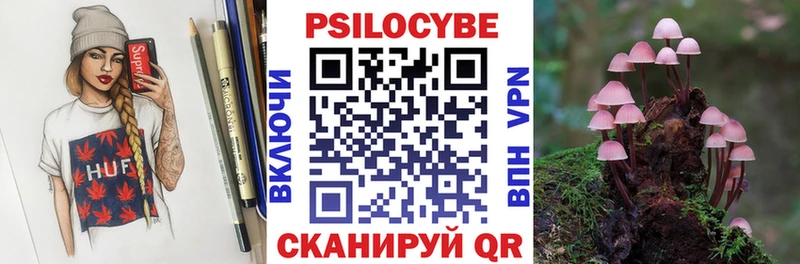 Псилоцибиновые грибы GOLDEN TEACHER  купить закладку  Североморск 