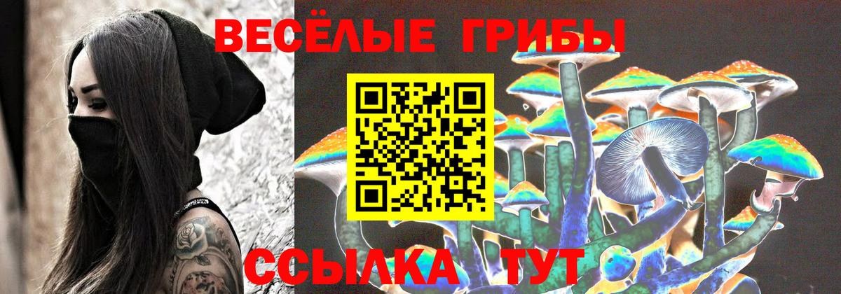 Галлюциногенные грибы ЛСД  Вход с VPN  Галлюциногенные грибы Psilocybine cubensis  Североморск 